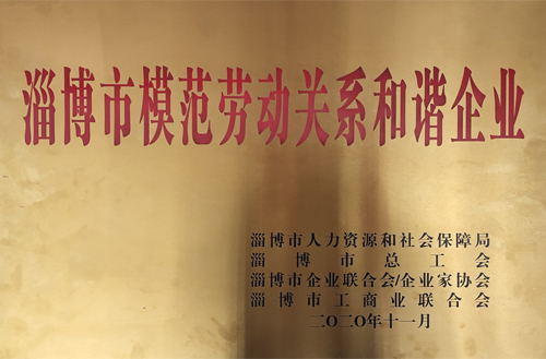 2020年11月榮獲“淄博市模范勞動(dòng)關(guān)系和諧企業(yè)”